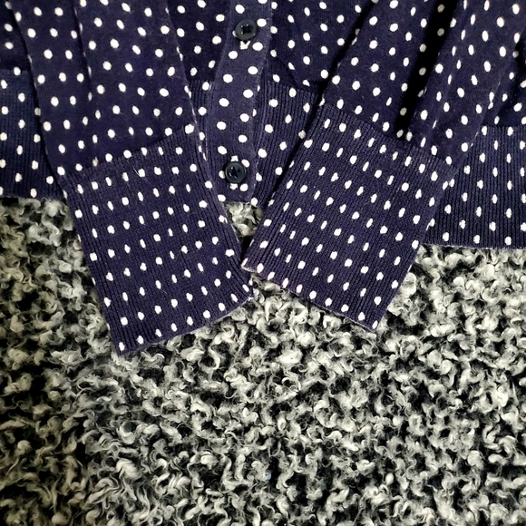 LOFT Blue & White Poka Dot Button up - Picture 7 of 12